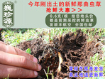 rxĲ շb 0.6/r60Ԫ/